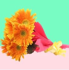 Flowers & Bouquets